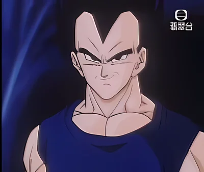 Dragonball - Vegeta scene