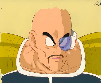 Dragon Ball Z scene - nappa11