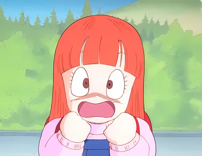 Dragon Ball Z scene - others66