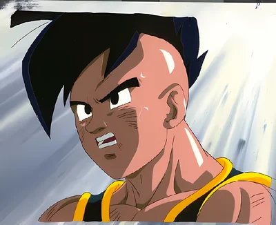 Dragon Ball Z scene - others128